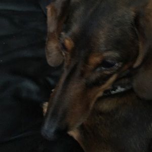 Meet your Posher, Beverly