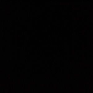 Meet your Posher, Janae