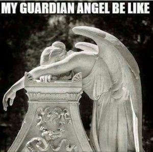 Meet your Posher, Annissa