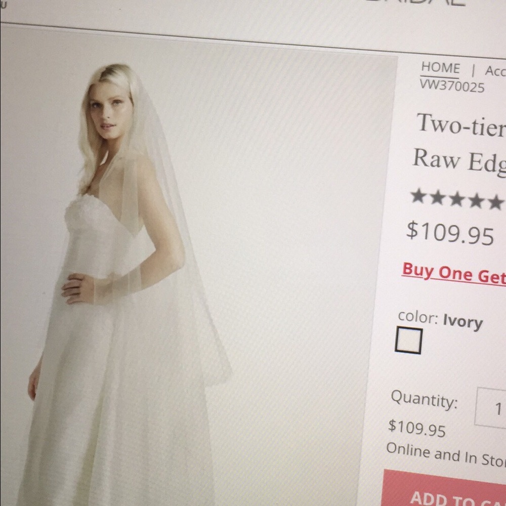Vera wang from Davids bridal veil