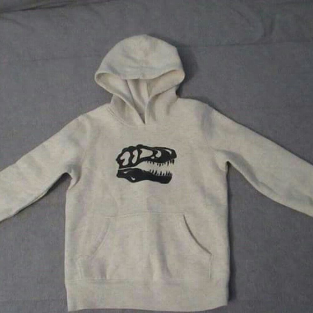 Dinosaur Fleece Pullover