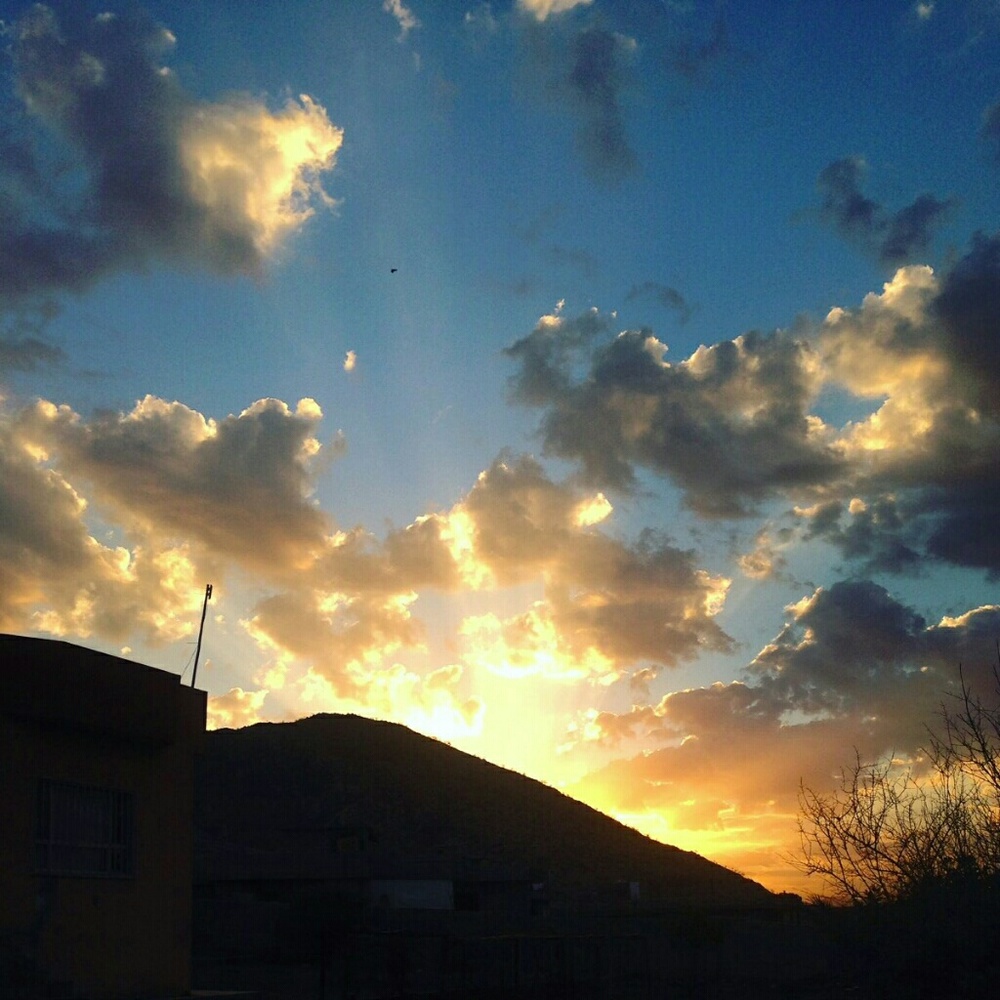 Meet your Posher, Miriam