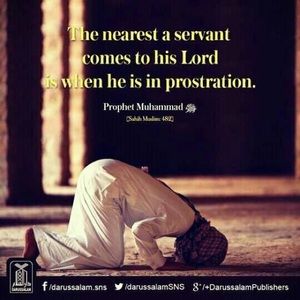 Meet your Posher, Hamza