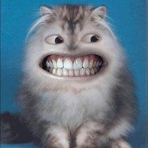 Meet your Posher, Nagy