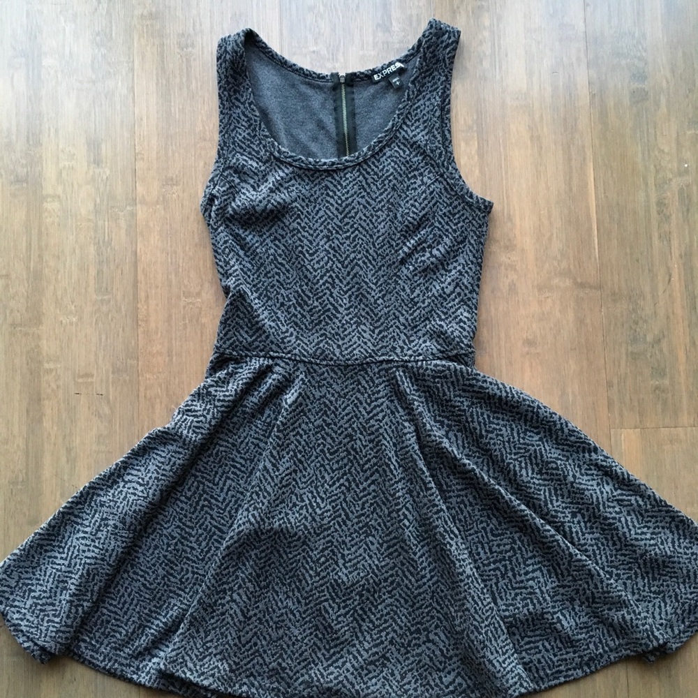 Express Skater Dress