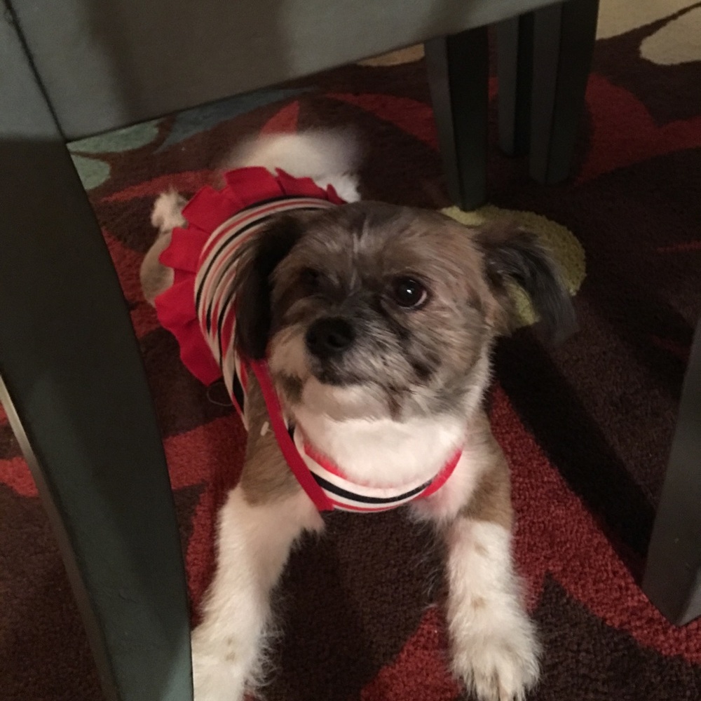 Meet your Posher, Tiffany