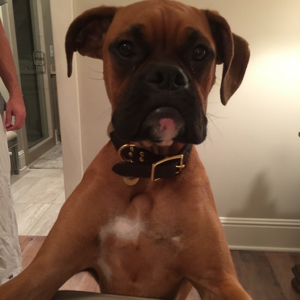 Meet your Posher, Austin