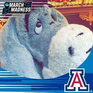 Meet your Posher, Carolyn