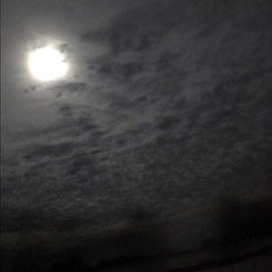 Meet your Posher, Donovan