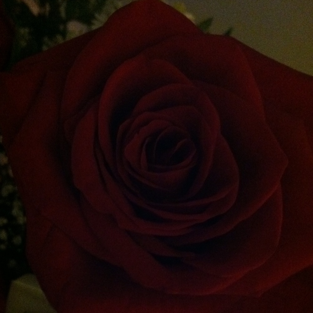 Meet your Posher, Rachael