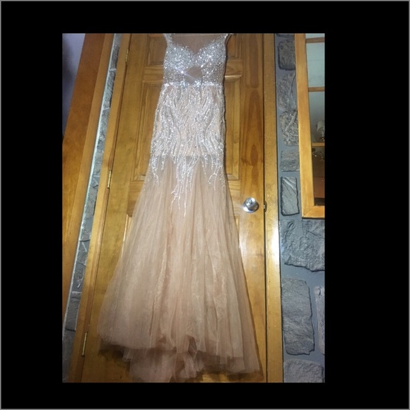 Terani Couture Gown