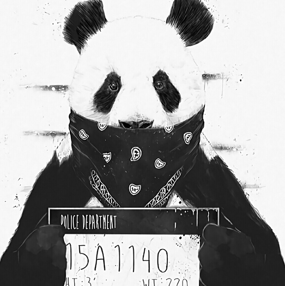 Meet your Posher, Joci - Picture 1 of 1