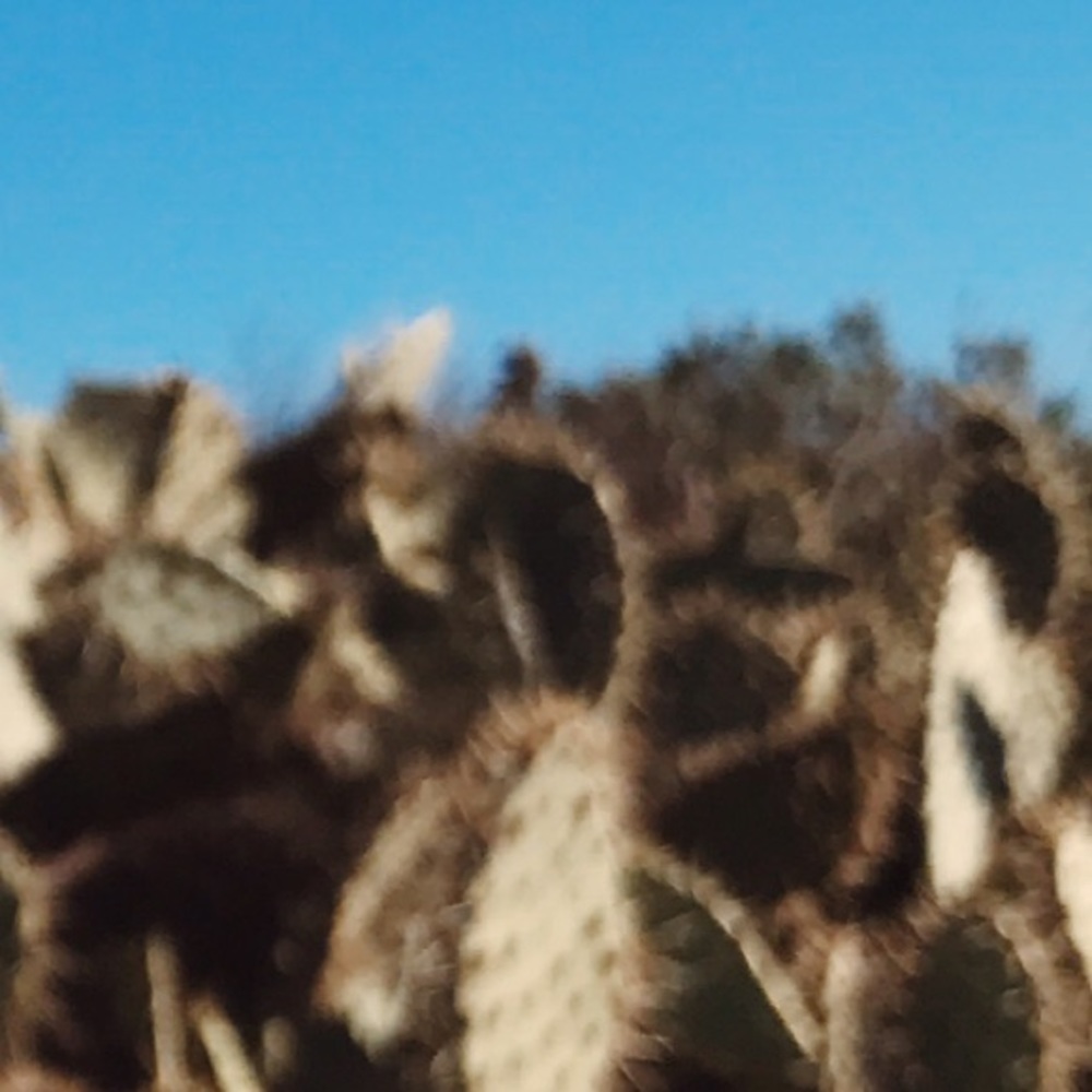 Meet your Posher, Shanelle