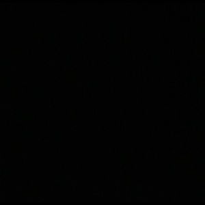 Meet your Posher, Katy