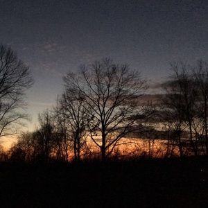 Meet your Posher, Alanna