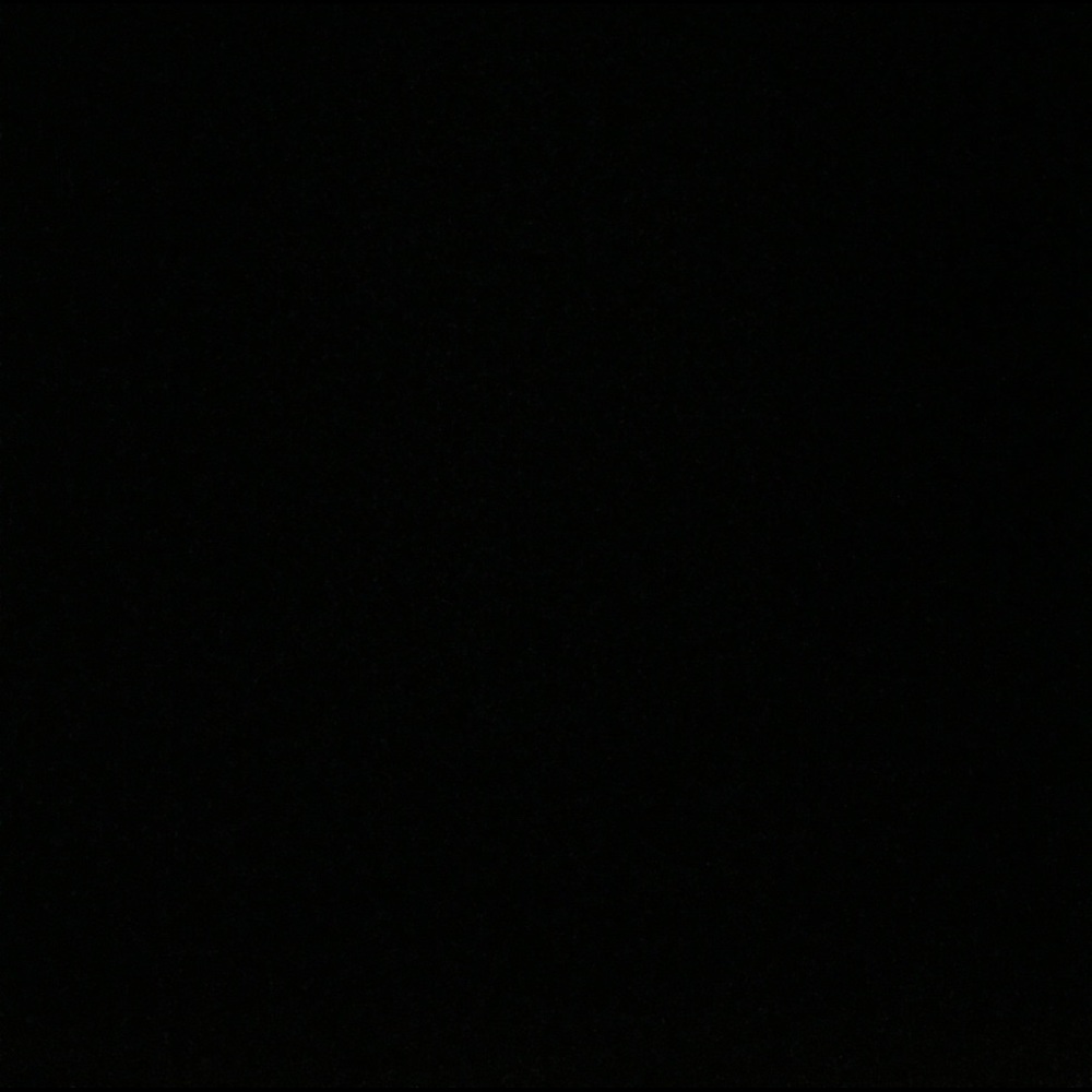 Meet your Posher, Neslie