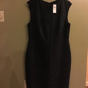 NWT Ann Taylor Dress