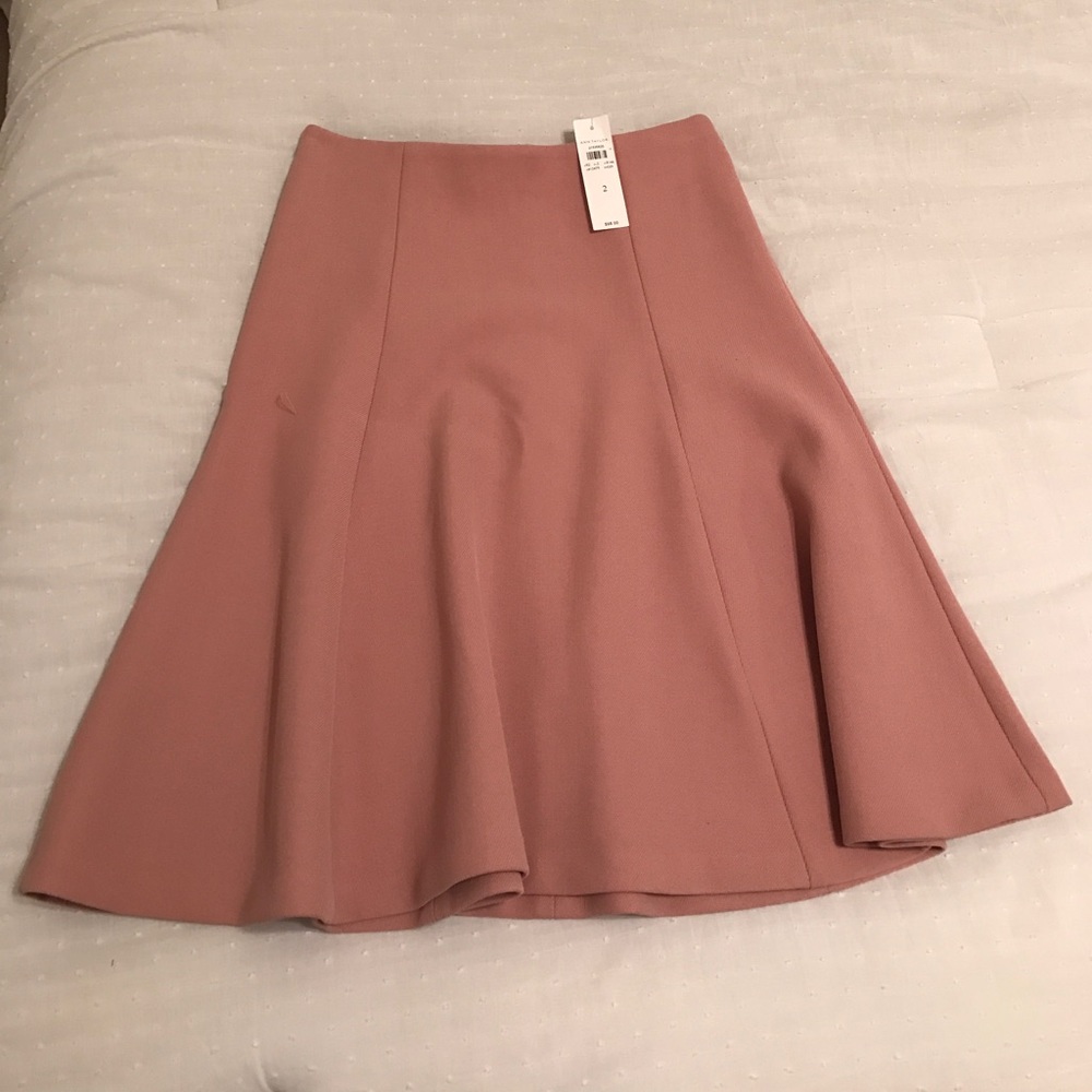 Ann Taylor skirt