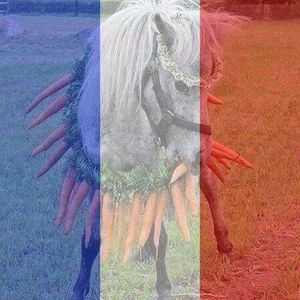 Meet your Posher, Sybil