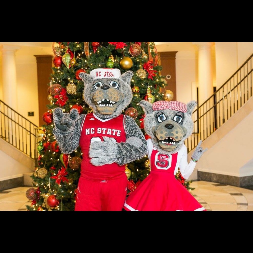 Meet your Posher, Karen