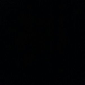 Meet your Posher, Vicky