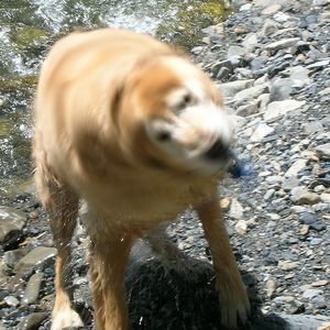 Meet your Posher, Elyse