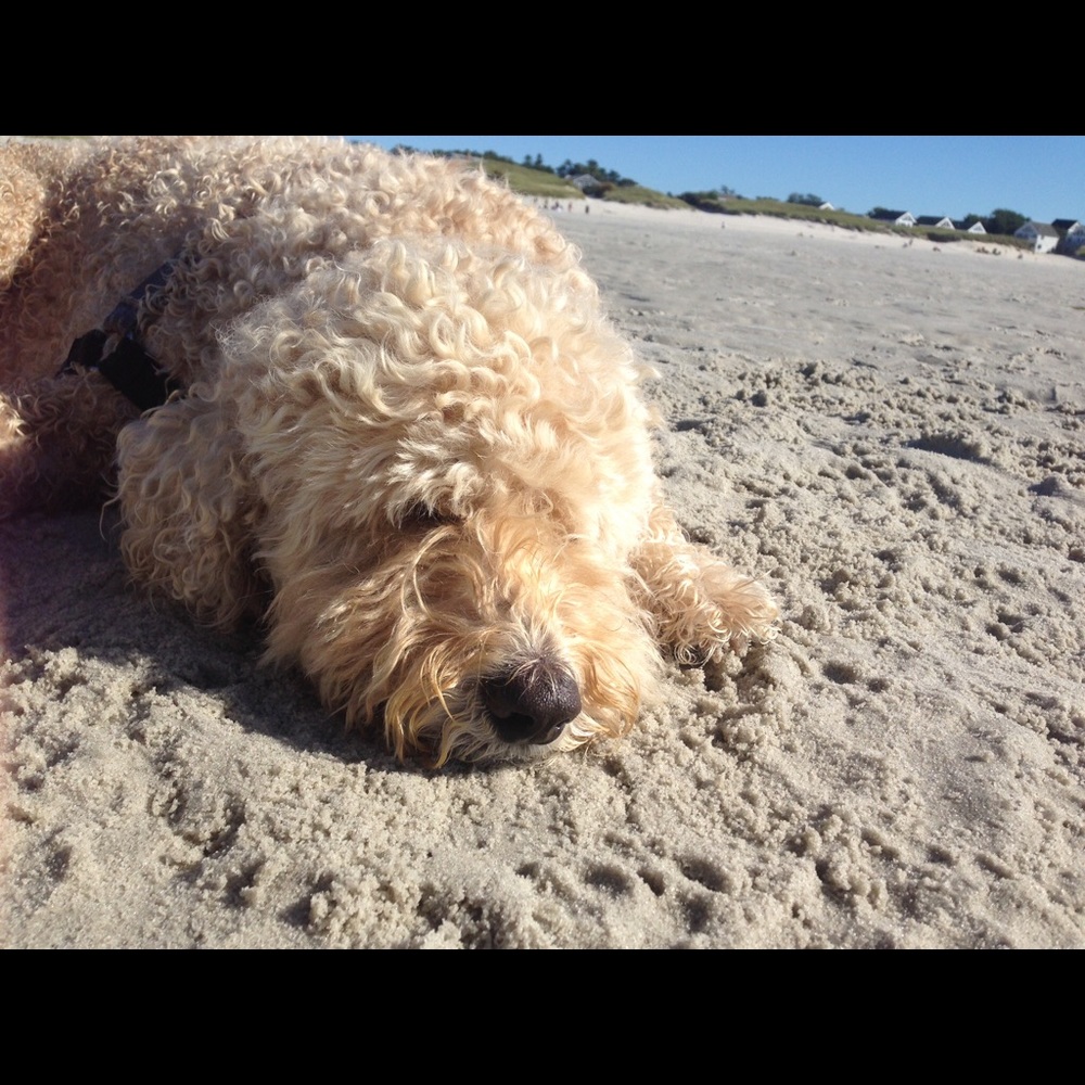 Meet your Posher, Kathleen