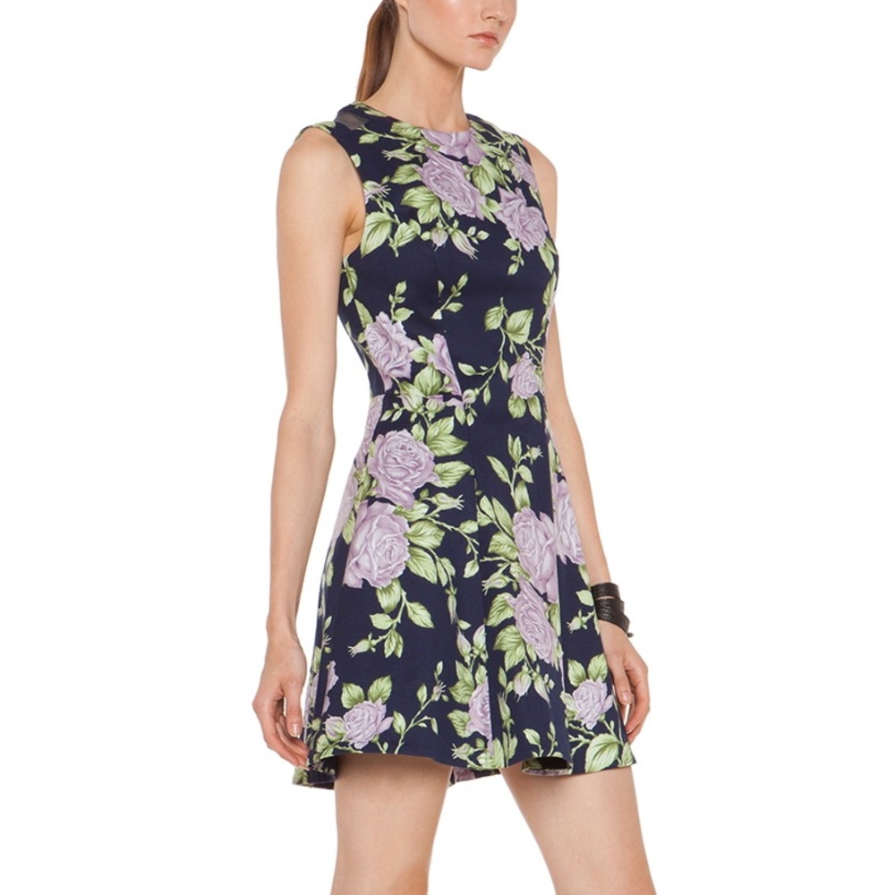 Rag & Bone sleeveless ruby dress