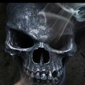 Meet your Posher, Logan