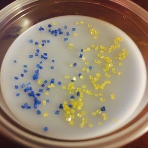 Candle Shots-Blueberry Cheesecake 6 pack