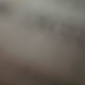 Meet your Posher, Adelisa