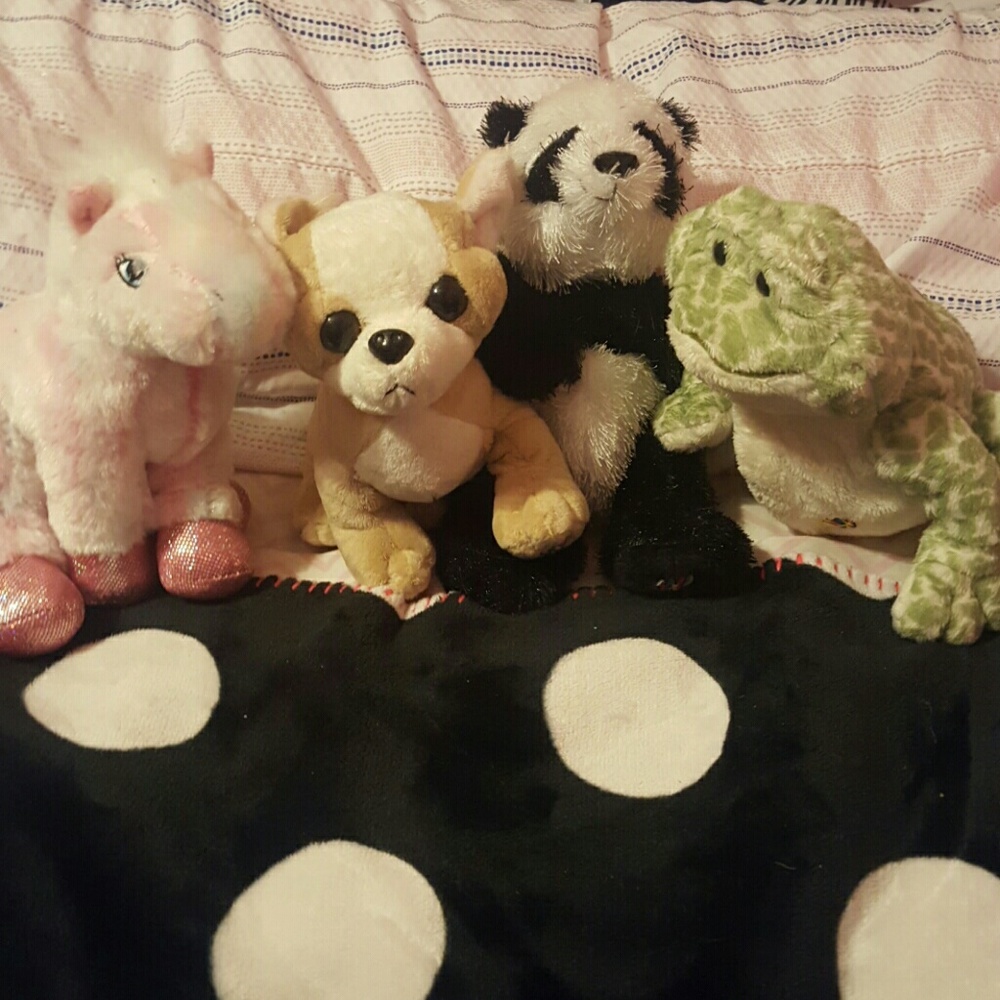4 webkinz