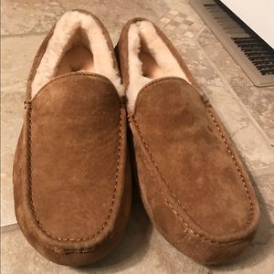 Men's Ugg Ascot Shoe size 11