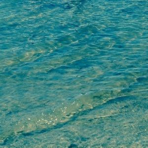 Meet your Posher, Shouga