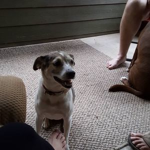 Meet your Posher, Jackie