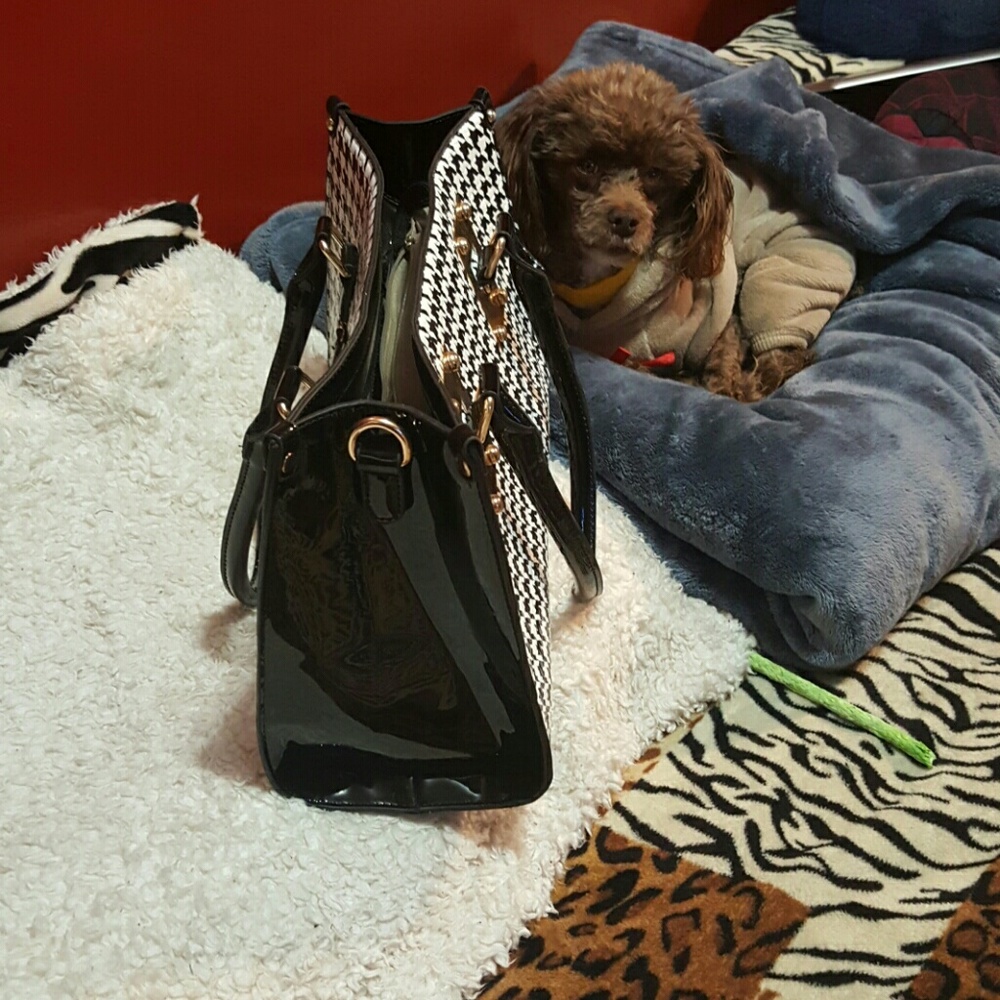 Bag - Picture 4 of 4