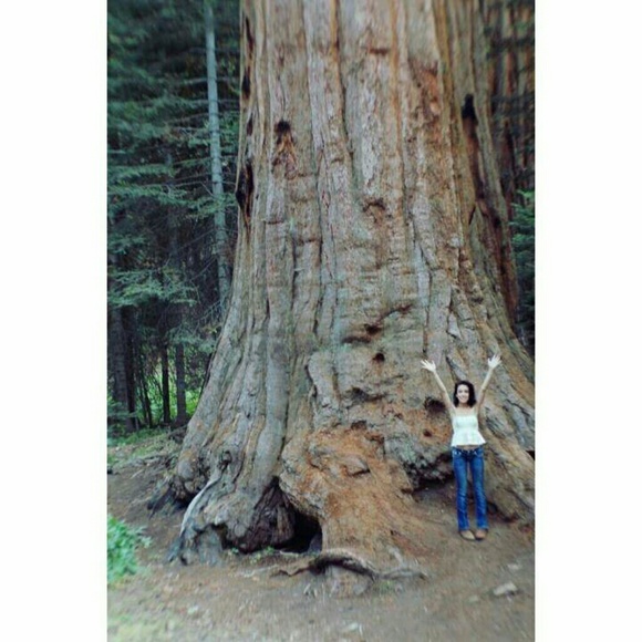 Your Buyer/Seller - Picture 3 of 5