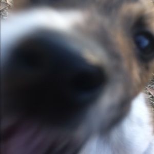 Meet your Posher, Randy