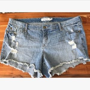 Torrid Distressed Cutoff Jean Short