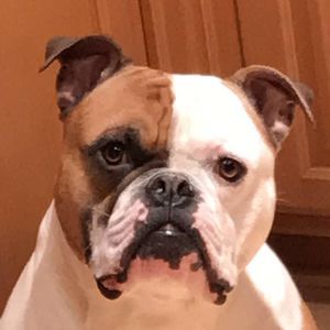 Meet your Posher, Liam