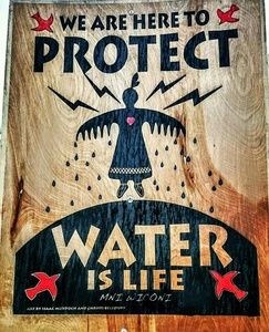 Meet your Posher, Dawn