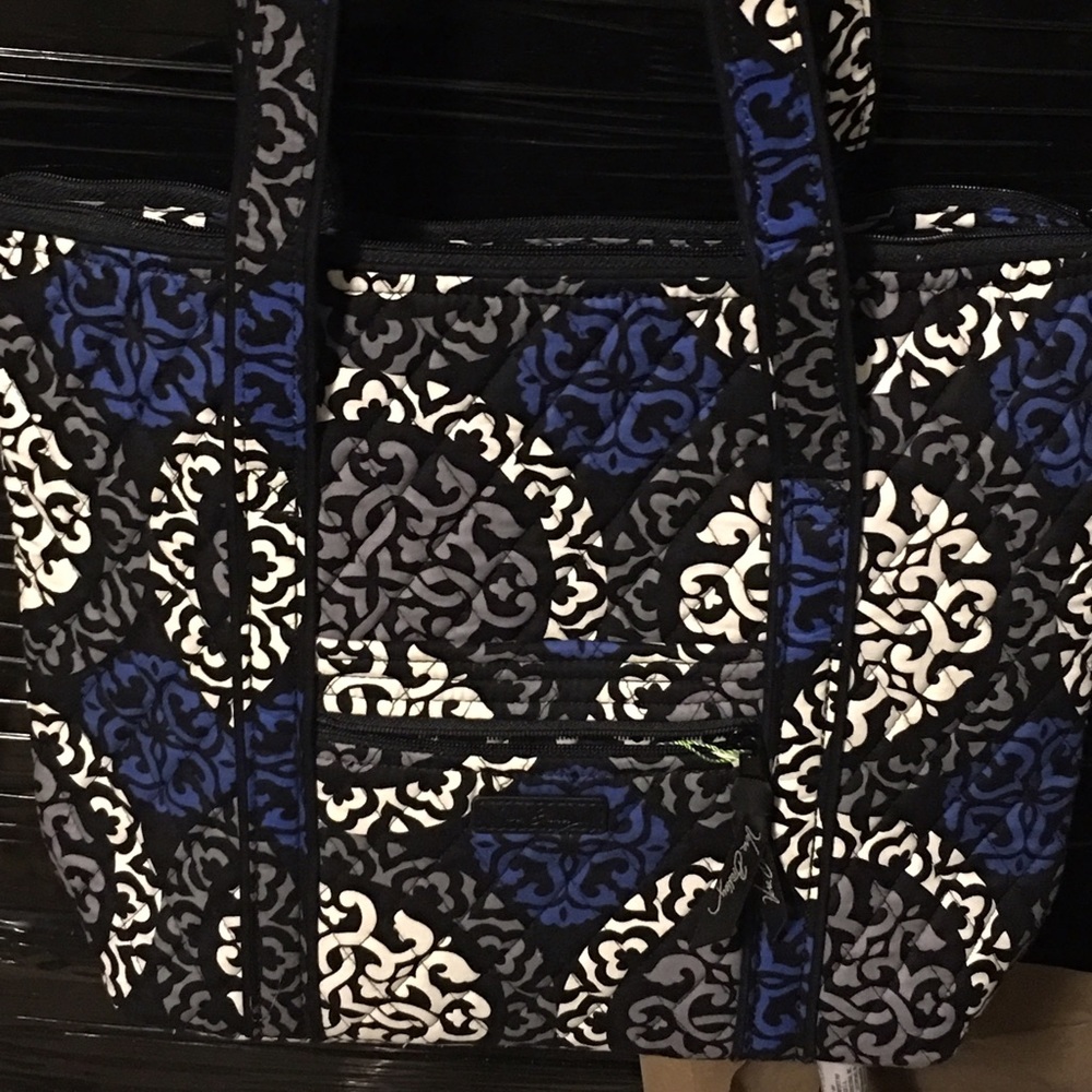 🔵Canterberry cobalt villager🔵