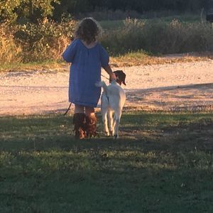 Meet your Posher, Jamie