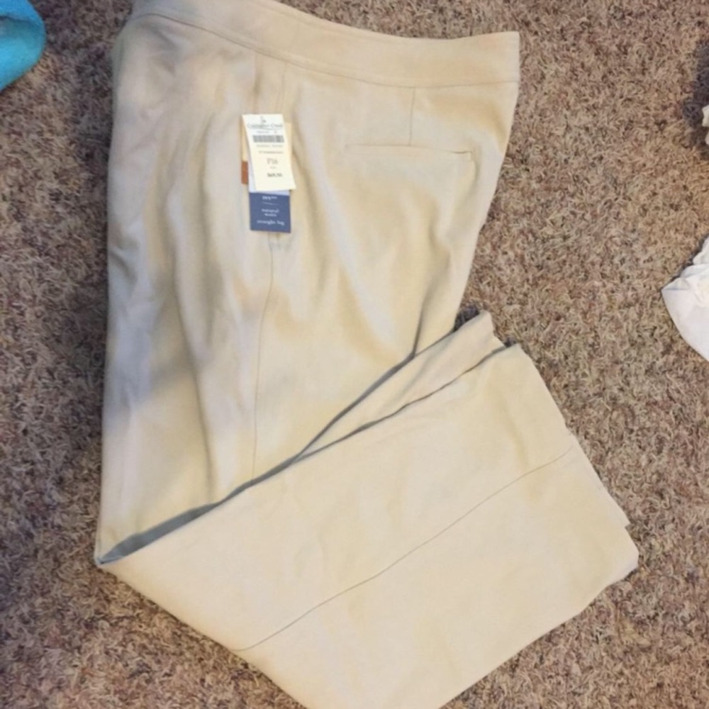 Women's cold water creek petite 16