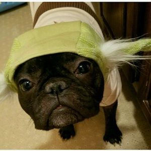 Meet your Posher, Sam