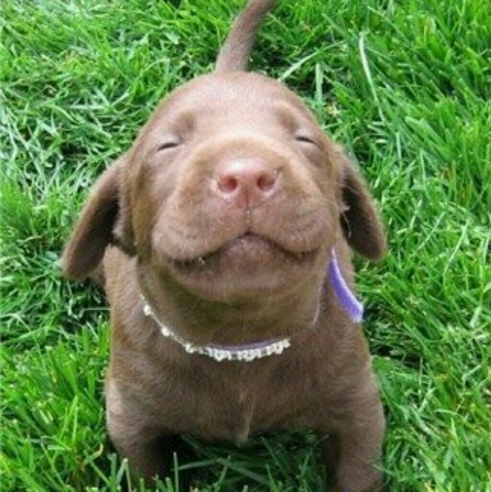 Meet your Posher, Kaitlyn