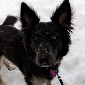 Meet your Posher, Jacqueline