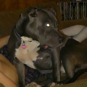 Meet your Posher, Nick