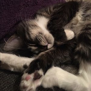 Meet your Posher, Sara