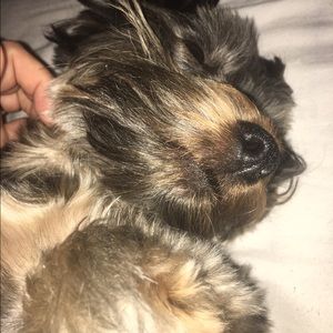 Meet your Posher, Jess